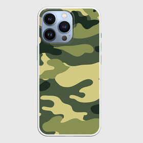Чехол для iPhone 13 Pro с принтом камуфляж в Белгороде,  |  | армия | камуфляж | милитари | силовые структуры
