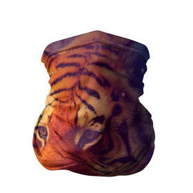 Бандана-труба 3D с принтом Тигр в Белгороде, 100% полиэстер, ткань с особыми свойствами — Activecool | плотность 150‒180 г/м2; хорошо тянется, но сохраняет форму | лев | тигр