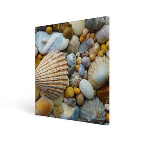 Холст квадратный с принтом Морские ракушки и камни в Белгороде, 100% ПВХ |  | камни | море | морские камни | ракушки