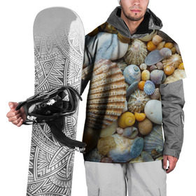 Накидка на куртку 3D с принтом Морские ракушки и камни в Белгороде, 100% полиэстер |  | камни | море | морские камни | ракушки