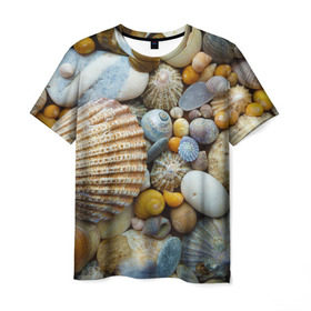 Мужская футболка 3D с принтом Морские ракушки и камни в Белгороде, 100% полиэфир | прямой крой, круглый вырез горловины, длина до линии бедер | камни | море | морские камни | ракушки