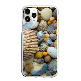 Чехол для iPhone 11 Pro матовый с принтом Морские ракушки и камни в Белгороде, Силикон |  | камни | море | морские камни | ракушки