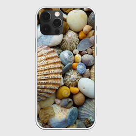 Чехол для iPhone 12 Pro с принтом Морские ракушки и камни в Белгороде, силикон | область печати: задняя сторона чехла, без боковых панелей | камни | море | морские камни | ракушки