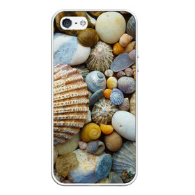 Чехол для iPhone 5/5S матовый с принтом Морские ракушки и камни в Белгороде, Силикон | Область печати: задняя сторона чехла, без боковых панелей | камни | море | морские камни | ракушки