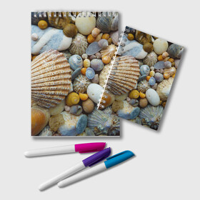 Блокнот с принтом Морские ракушки и камни в Белгороде, 100% бумага | 48 листов, плотность листов — 60 г/м2, плотность картонной обложки — 250 г/м2. Листы скреплены удобной пружинной спиралью. Цвет линий — светло-серый
 | камни | море | морские камни | ракушки