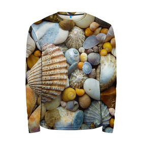 Мужской лонгслив 3D с принтом Морские ракушки и камни в Белгороде, 100% полиэстер | длинные рукава, круглый вырез горловины, полуприлегающий силуэт | камни | море | морские камни | ракушки