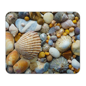 Коврик прямоугольный с принтом Морские ракушки и камни в Белгороде, натуральный каучук | размер 230 х 185 мм; запечатка лицевой стороны | камни | море | морские камни | ракушки