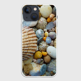 Чехол для iPhone 13 mini с принтом Морские ракушки и камни в Белгороде,  |  | камни | море | морские камни | ракушки