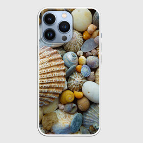 Чехол для iPhone 13 Pro с принтом Морские ракушки и камни в Белгороде,  |  | камни | море | морские камни | ракушки