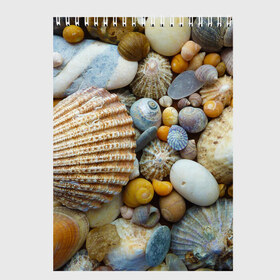 Скетчбук с принтом Морские ракушки и камни в Белгороде, 100% бумага
 | 48 листов, плотность листов — 100 г/м2, плотность картонной обложки — 250 г/м2. Листы скреплены сверху удобной пружинной спиралью | камни | море | морские камни | ракушки