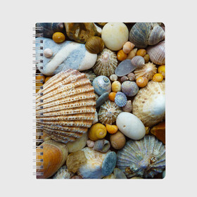 Тетрадь с принтом Морские ракушки и камни в Белгороде, 100% бумага | 48 листов, плотность листов — 60 г/м2, плотность картонной обложки — 250 г/м2. Листы скреплены сбоку удобной пружинной спиралью. Уголки страниц и обложки скругленные. Цвет линий — светло-серый
 | камни | море | морские камни | ракушки