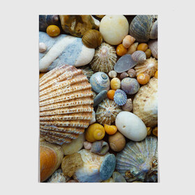 Постер с принтом Морские ракушки и камни в Белгороде, 100% бумага
 | бумага, плотность 150 мг. Матовая, но за счет высокого коэффициента гладкости имеет небольшой блеск и дает на свету блики, но в отличии от глянцевой бумаги не покрыта лаком | камни | море | морские камни | ракушки