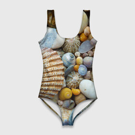 Купальник-боди 3D с принтом Морские ракушки и камни в Белгороде, 82% полиэстер, 18% эластан | Круглая горловина, круглый вырез на спине | камни | море | морские камни | ракушки