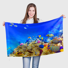 Флаг 3D с принтом Подводный мир в Белгороде, 100% полиэстер | плотность ткани — 95 г/м2, размер — 67 х 109 см. Принт наносится с одной стороны | 