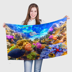Флаг 3D с принтом Подводный мир в Белгороде, 100% полиэстер | плотность ткани — 95 г/м2, размер — 67 х 109 см. Принт наносится с одной стороны | вода | коралл | океан | рыбки | синяя