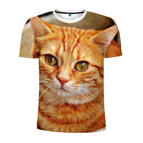 Мужская футболка 3D спортивная с принтом кот в Белгороде, 100% полиэстер с улучшенными характеристиками | приталенный силуэт, круглая горловина, широкие плечи, сужается к линии бедра | cat | взгляд | глаза | киса | кот | котенок | котик