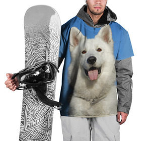 Накидка на куртку 3D с принтом белый пес в Белгороде, 100% полиэстер |  | dog | friend | взгляд | волк | друг | пес | собака | хаски