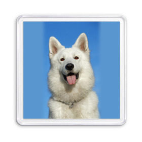 Магнит 55*55 с принтом белый пес в Белгороде, Пластик | Размер: 65*65 мм; Размер печати: 55*55 мм | dog | friend | взгляд | волк | друг | пес | собака | хаски