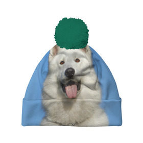 Шапка 3D c помпоном с принтом белый пес в Белгороде, 100% полиэстер | универсальный размер, печать по всей поверхности изделия | dog | friend | взгляд | волк | друг | пес | собака | хаски
