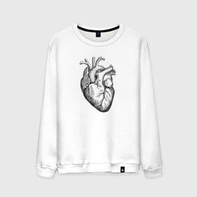 Мужской свитшот хлопок с принтом Heart в Белгороде, 100% хлопок |  | вектор | карандаш | кардиология | кровь | мышца | орган | пульс | рисунок | сердце | черный