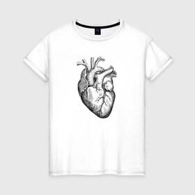 Женская футболка хлопок с принтом Heart в Белгороде, 100% хлопок | прямой крой, круглый вырез горловины, длина до линии бедер, слегка спущенное плечо | вектор | карандаш | кардиология | кровь | мышца | орган | пульс | рисунок | сердце | черный