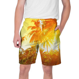 Мужские шорты 3D с принтом Пальмы в Белгороде,  полиэстер 100% | прямой крой, два кармана без застежек по бокам. Мягкая трикотажная резинка на поясе, внутри которой широкие завязки. Длина чуть выше колен | sea | summer | берег | лето | море | океан | отдых | пальмы | пляж | солнце
