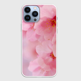 Чехол для iPhone 13 Pro Max с принтом Сакура в Белгороде,  |  | весна | вишня | розовый | цветение | цветы | япония