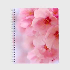 Тетрадь с принтом Сакура в Белгороде, 100% бумага | 48 листов, плотность листов — 60 г/м2, плотность картонной обложки — 250 г/м2. Листы скреплены сбоку удобной пружинной спиралью. Уголки страниц и обложки скругленные. Цвет линий — светло-серый
 | весна | вишня | розовый | цветение | цветы | япония