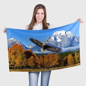 Флаг 3D с принтом Орел в Белгороде, 100% полиэстер | плотность ткани — 95 г/м2, размер — 67 х 109 см. Принт наносится с одной стороны | орел