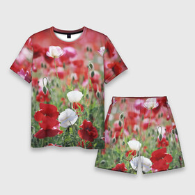 Мужской костюм с шортами 3D с принтом Маки в Белгороде,  |  | field | flowers | meadow | poppies | red | white | белые | красные | луг | маки | поле | полевые | цветы