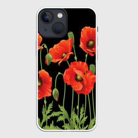 Чехол для iPhone 13 mini с принтом Маки в Белгороде,  |  | field | flowers | meadow | poppies | red | white | белые | красные | луг | маки | поле | полевые | цветы