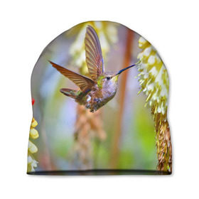 Шапка 3D с принтом Колибри в Белгороде, 100% полиэстер | универсальный размер, печать по всей поверхности изделия | лепесток | новая | природа | птичка | цветок | яркая