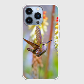 Чехол для iPhone 13 Pro с принтом Колибри в Белгороде,  |  | лепесток | новая | природа | птичка | цветок | яркая