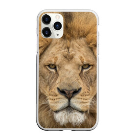 Чехол для iPhone 11 Pro матовый с принтом Лев в Белгороде, Силикон |  | грива | джунгли | животные | зверь | король | кровь | лев | охотник | хищник | царь