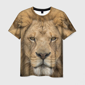 Мужская футболка 3D с принтом Лев в Белгороде, 100% полиэфир | прямой крой, круглый вырез горловины, длина до линии бедер | грива | джунгли | животные | зверь | король | кровь | лев | охотник | хищник | царь