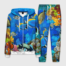 Мужской костюм 3D с принтом Экзотические рыбки в Белгороде, 100% полиэстер | Манжеты и пояс оформлены тканевой резинкой, двухслойный капюшон со шнурком для регулировки, карманы спереди | животые | красочные | морские | рыбки | цветные | экзотические