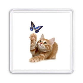 Магнит 55*55 с принтом Котенок и бабочка 2 в Белгороде, Пластик | Размер: 65*65 мм; Размер печати: 55*55 мм | Тематика изображения на принте: бабочка | кот | котенок | кошка | мордочка