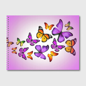 Альбом для рисования с принтом Butterflies в Белгороде, 100% бумага
 | матовая бумага, плотность 200 мг. | Тематика изображения на принте: бабочки | белый | картинка | лето | природа | рисунок | розовый | цвета