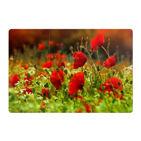Магнитный плакат 3Х2 с принтом Маки в Белгороде, Полимерный материал с магнитным слоем | 6 деталей размером 9*9 см | Тематика изображения на принте: field | flowers | meadow | nature | poppies | poppy | red | summer | wild | красные | лето | луг | мак | маки | поле | полевые | природа | цветы