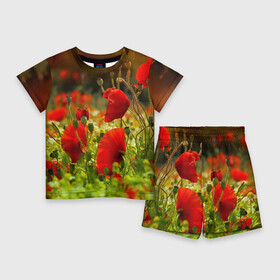 Детский костюм с шортами 3D с принтом Маки в Белгороде,  |  | field | flowers | meadow | nature | poppies | poppy | red | summer | wild | красные | лето | луг | мак | маки | поле | полевые | природа | цветы