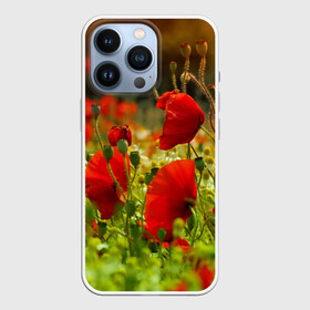 Чехол для iPhone 13 Pro с принтом Маки в Белгороде,  |  | field | flowers | meadow | nature | poppies | poppy | red | summer | wild | красные | лето | луг | мак | маки | поле | полевые | природа | цветы