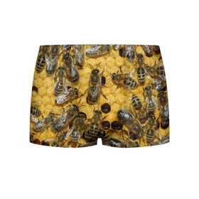 Мужские трусы 3D с принтом Пчела в Белгороде, 50% хлопок, 50% полиэстер | классическая посадка, на поясе мягкая тканевая резинка | лето | мед | насекомые | оса | природа | пчелы | шмель