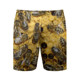 Мужские шорты 3D спортивные с принтом Пчела в Белгороде,  |  | лето | мед | насекомые | оса | природа | пчелы | шмель