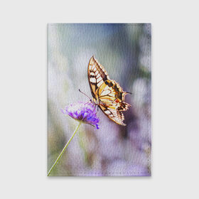 Обложка для паспорта матовая кожа с принтом Бабочка 1 в Белгороде, натуральная матовая кожа | размер 19,3 х 13,7 см; прозрачные пластиковые крепления | Тематика изображения на принте: бабочки | прикольные картинки | природа | цветы