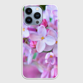 Чехол для iPhone 13 Pro с принтом Сирень в Белгороде,  |  | Тематика изображения на принте: лепестки | прикольные картинки | цветочки | цветы