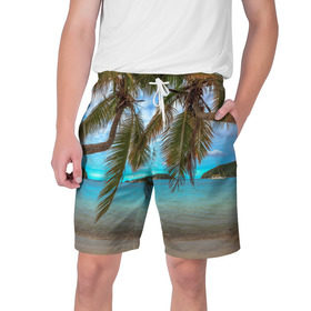 Мужские шорты 3D с принтом Пальма в Белгороде,  полиэстер 100% | прямой крой, два кармана без застежек по бокам. Мягкая трикотажная резинка на поясе, внутри которой широкие завязки. Длина чуть выше колен | море | отдых | отпуск | пальмы | пляж | солнце | туризм