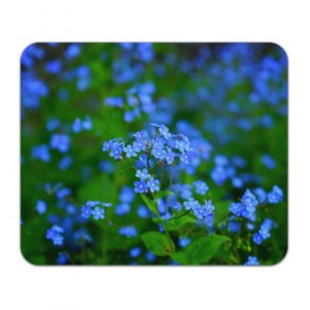 Коврик прямоугольный с принтом синие цветочки в Белгороде, натуральный каучук | размер 230 х 185 мм; запечатка лицевой стороны | 
