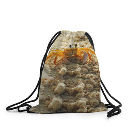 Рюкзак-мешок 3D с принтом Краб в Белгороде, 100% полиэстер | плотность ткани — 200 г/м2, размер — 35 х 45 см; лямки — толстые шнурки, застежка на шнуровке, без карманов и подкладки | море | отпуск | песок | пляж | солнце | туризм