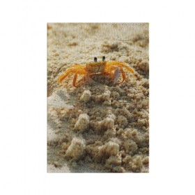 Обложка для паспорта матовая кожа с принтом Краб в Белгороде, натуральная матовая кожа | размер 19,3 х 13,7 см; прозрачные пластиковые крепления | Тематика изображения на принте: море | отпуск | песок | пляж | солнце | туризм