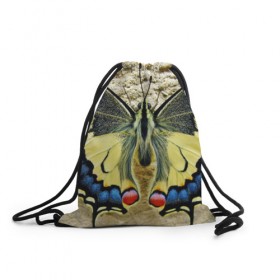 Рюкзак-мешок 3D с принтом бабочка в Белгороде, 100% полиэстер | плотность ткани — 200 г/м2, размер — 35 х 45 см; лямки — толстые шнурки, застежка на шнуровке, без карманов и подкладки | бабочка | мотылек | насекомые